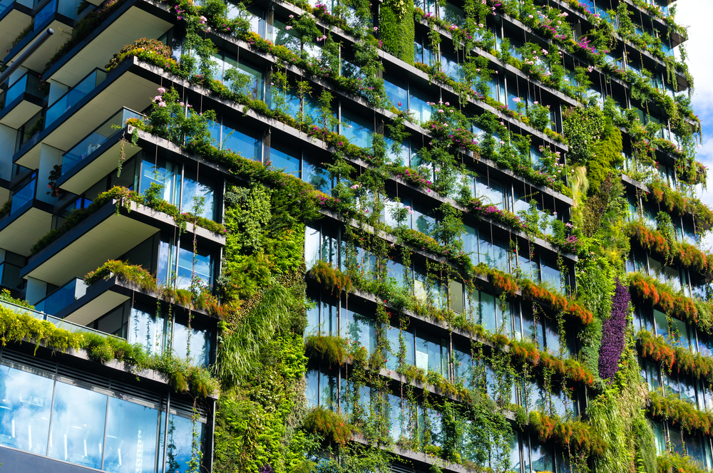 IEA report: Cities are key to a net-zero emission future