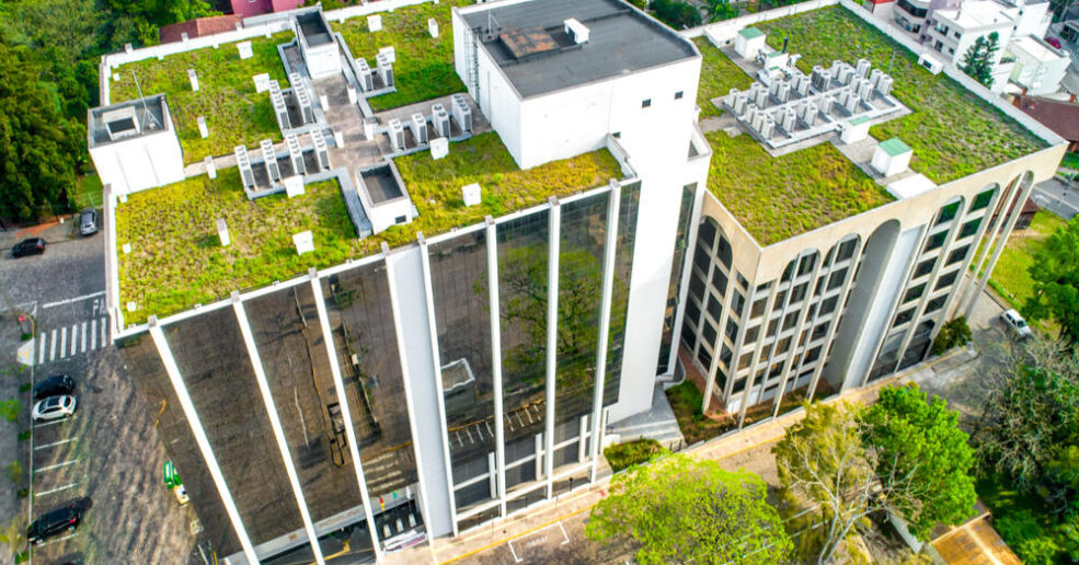 Green roofs can cool cities and save energy
