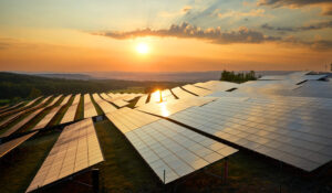 $500m Aldoga Solar Farm to drive renewable energy and jobs boom