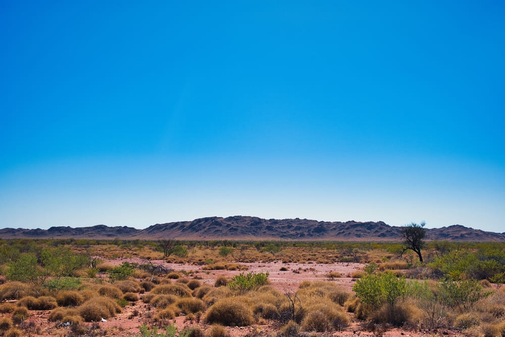 Australia's Pilbara region poised for green transformation, report suggests