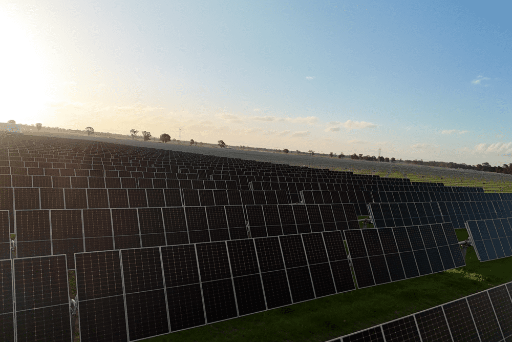 SmartestEnergy and Neoen partner for Culcairn Solar Farm