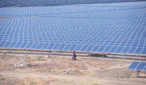 US customs detains Indian solar panels over forced labour concerns