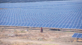 US customs detains Indian solar panels over forced labour concerns