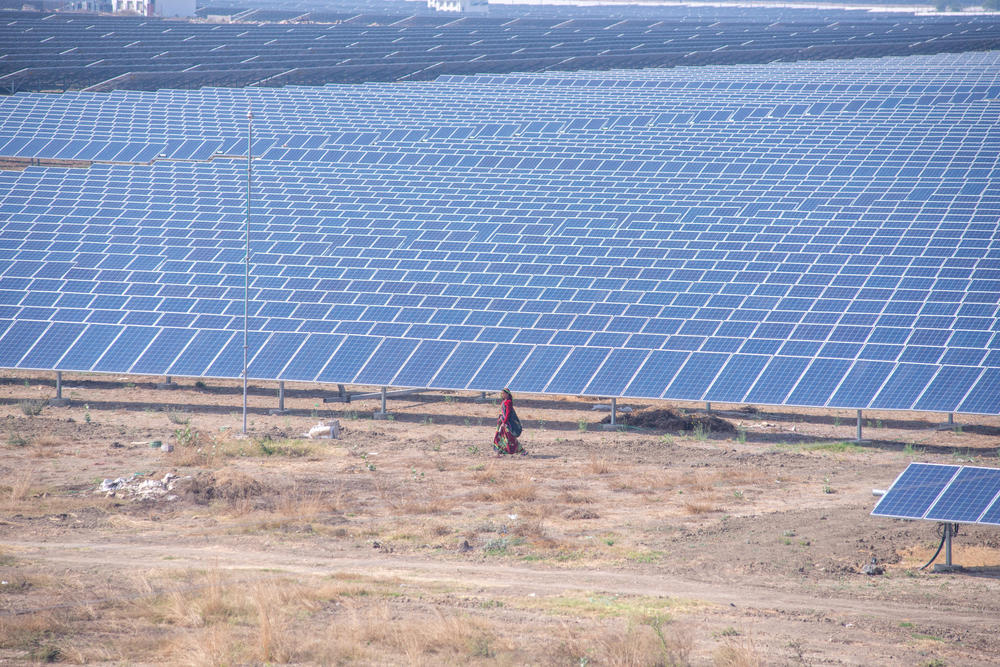 US customs detains Indian solar panels over forced labour concerns