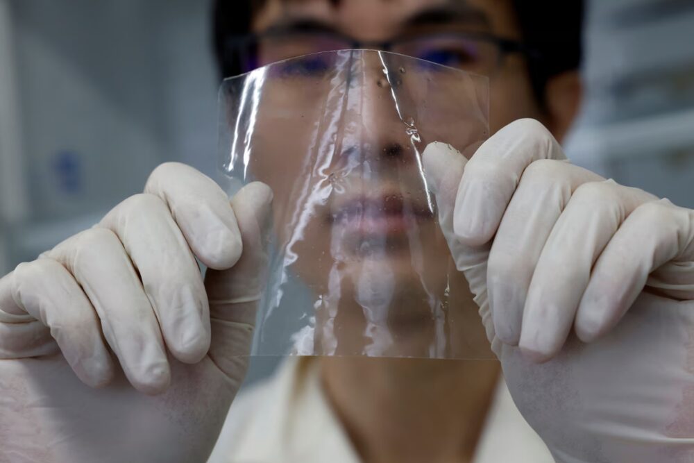 Japanese scientists create plastic dissolving in seawater