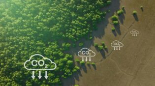 Carbon capture risks South Australia's green future